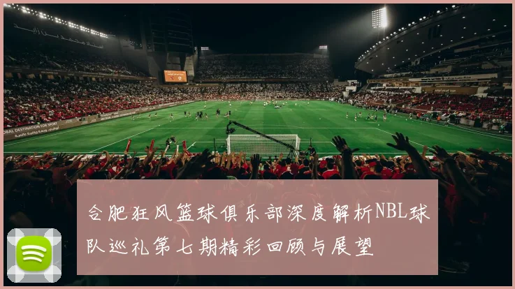 合肥狂风篮球俱乐部深度解析NBL球队巡礼第七期精彩回顾与展望